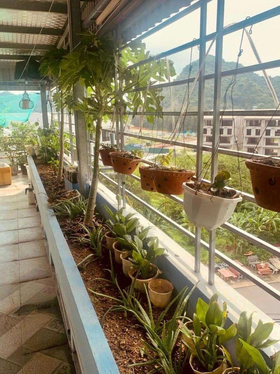 Chan Chau Thu Thuy Hotel المظهر الخارجي الصورة